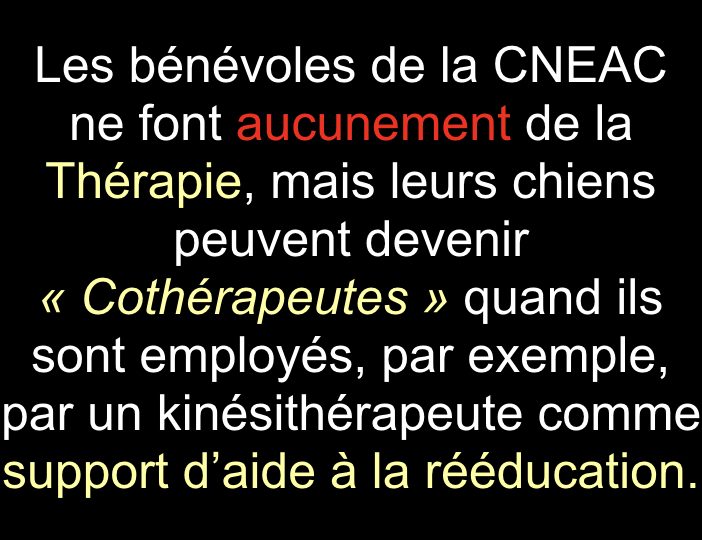 Diaporama-chiens-visiteurs-Site.019