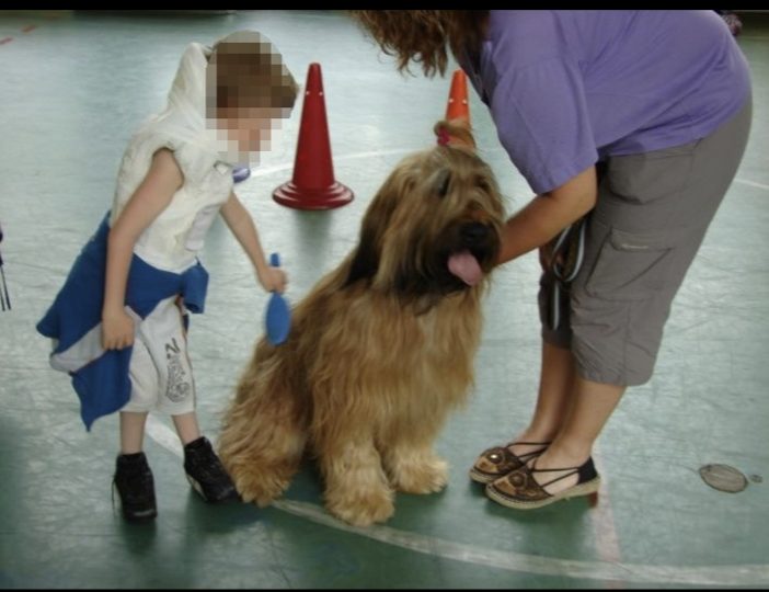 Diaporama-chiens-visiteurs-Site.020