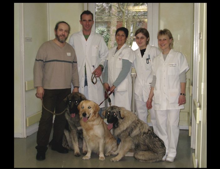 Diaporama-chiens-visiteurs-Site.022