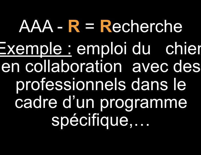 Diaporama-chiens-visiteurs-Site.023