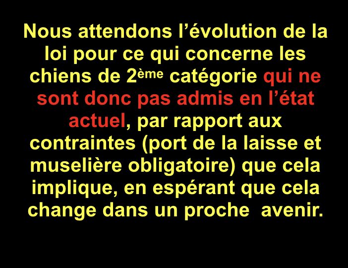 Diaporama-chiens-visiteurs-Site.028