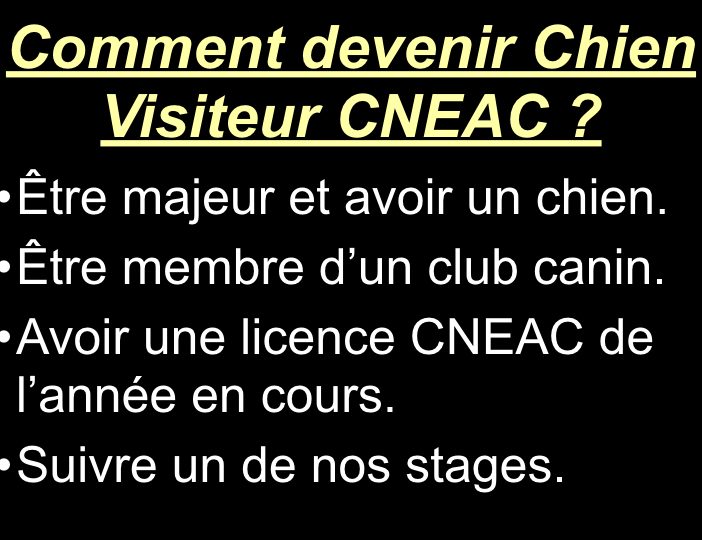 Diaporama-chiens-visiteurs-Site.029