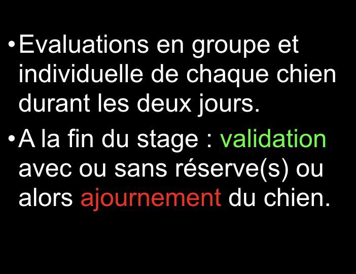 Diaporama-chiens-visiteurs-Site.031