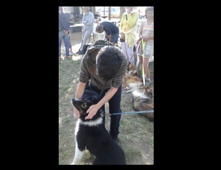 Diaporama-chiens-visiteurs-Site.033