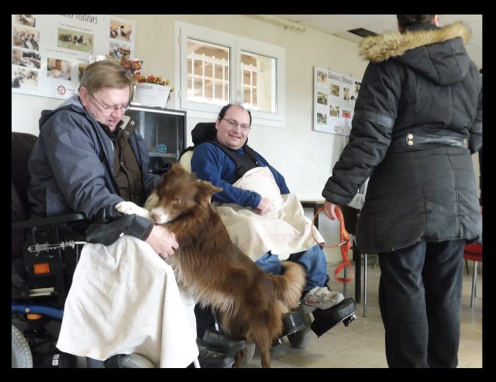 Diaporama-chiens-visiteurs-Site.034