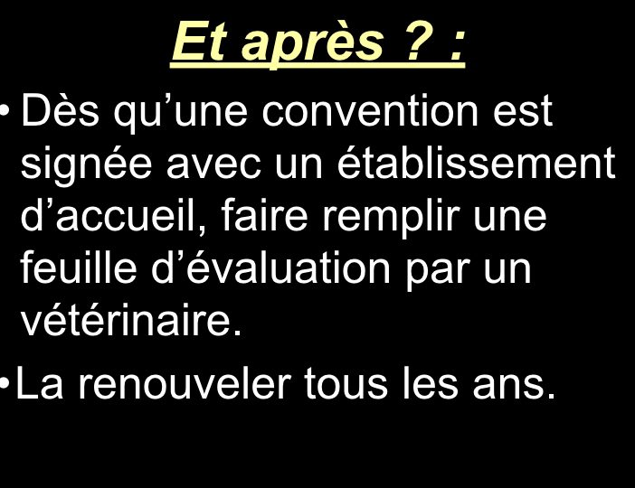 Diaporama-chiens-visiteurs-Site.036