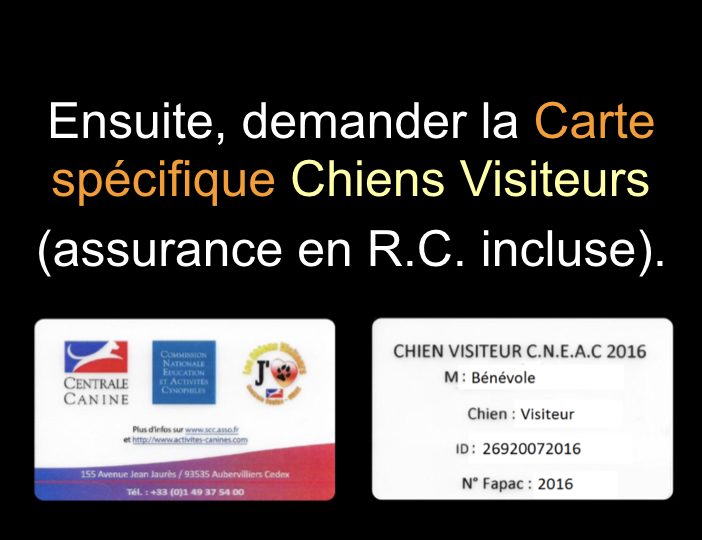 Diaporama-chiens-visiteurs-Site.037