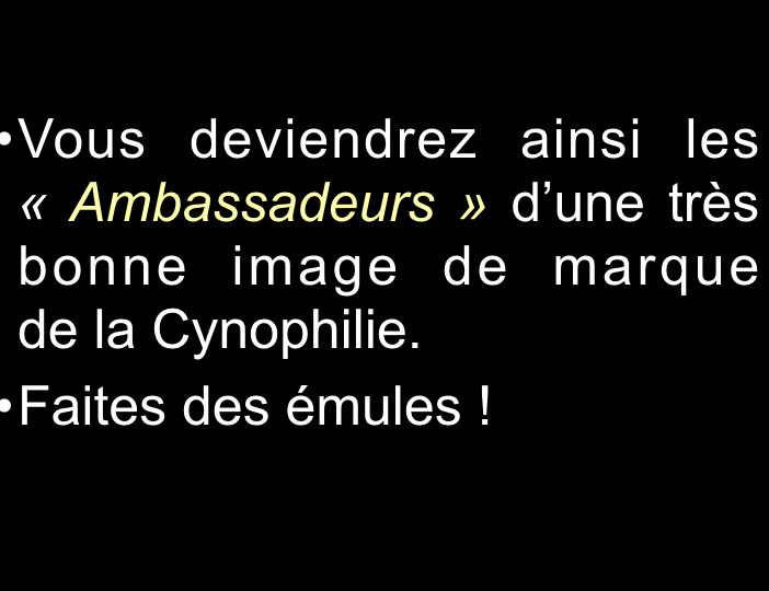 Diaporama-chiens-visiteurs-Site.039