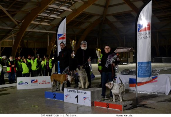 GPF agility 2019 – Podium Master D