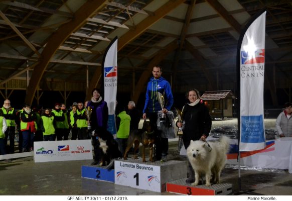 GPF agility 2019 – Podium Standard D