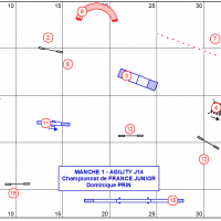 J14 agility manche 1