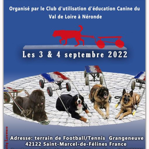 Affiche GPF/ChdF Attelage 2022