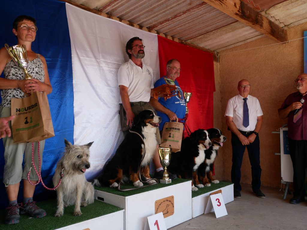 GPF Attelage 2022 - Podiums - ChdF