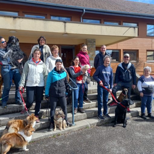 Stage MEC1 Villy le Pelloux