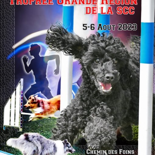 Affiche Trophée par équipe 2023