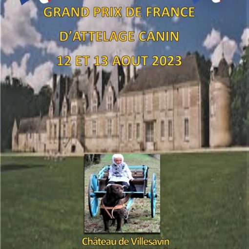 affiche championnat de france et grand prix d'attelage canin 12 et 13 août 2023 - Chateau de Villesavin - 41250 Tour en Sologne - Coordonées GPS : Latitude 47°32'47.446888 N, Longitude 1°30'51.565 E