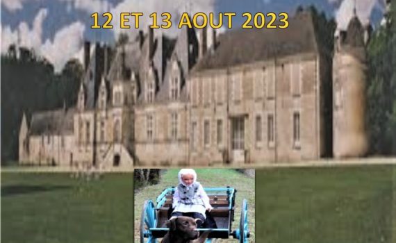 affiche championnat de france et grand prix d'attelage canin 12 et 13 août 2023 - Chateau de Villesavin - 41250 Tour en Sologne - Coordonées GPS : Latitude 47°32'47.446888 N, Longitude 1°30'51.565 E