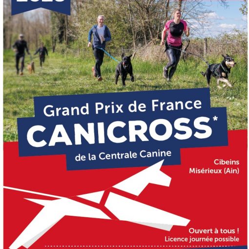 GPF Canicross - 4/5 novembre 2023 à partir de 9h - Cibeins Miserieux (Ain) - Entrée gratuite, ouvert à tous, licence jours possible - inscription sur www.canicompet.com jusqu'au 30/10