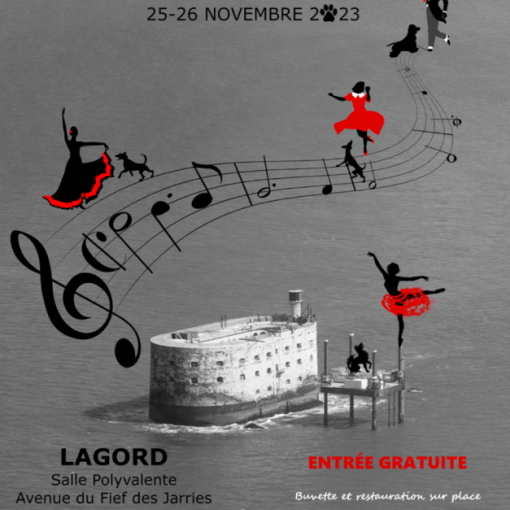 championnat et grand prix de france dog dancing - 25 et 26 novembre 2023 - Lagord - Salle polyvalente - Avenue du Fief des Jarries -17140 Lagord - Entrée Gratuite - Buvette et restauration sur place