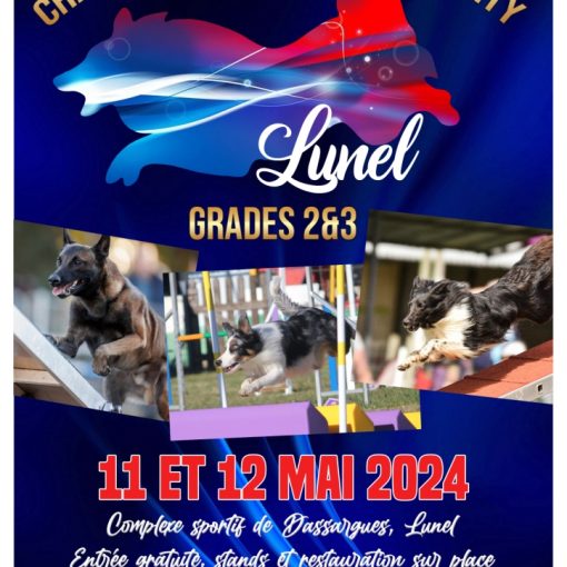 Championnat de France Agility grade 2 et 3 - Lunel - 11 et 12 mai 2024 - complexe sportif de dassargue, lunel - entrée gratuite, stand et restauration sur place