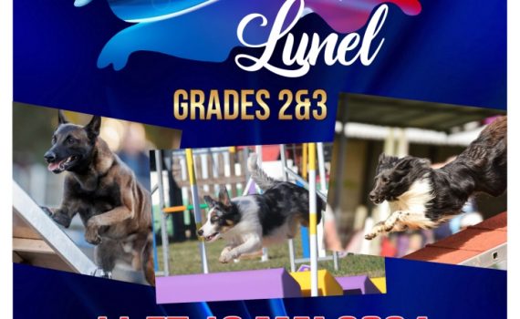 Championnat de France Agility grade 2 et 3 - Lunel - 11 et 12 mai 2024 - complexe sportif de dassargue, lunel - entrée gratuite, stand et restauration sur place