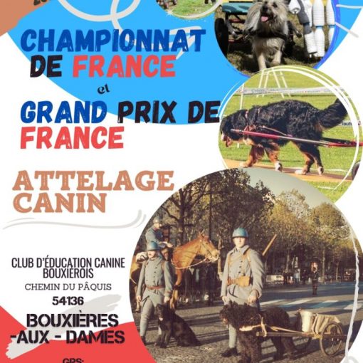 28 et 29 septembre 2024 - Championnat de France et Grand prix de France d'attelage canin - Club d'éducation canine bouxierois - chemin du pâquis 54136 bouxières au dames - GPS : 48.749434,6.159967