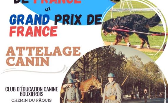 28 et 29 septembre 2024 - Championnat de France et Grand prix de France d'attelage canin - Club d'éducation canine bouxierois - chemin du pâquis 54136 bouxières au dames - GPS : 48.749434,6.159967