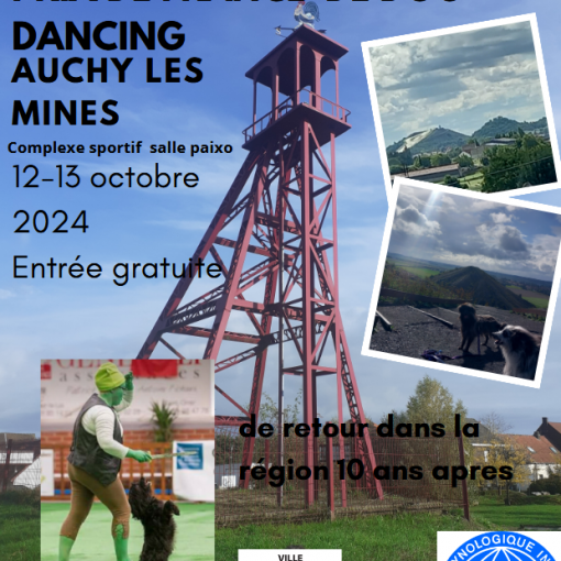 Championnat et grand prix de france de dog dancing - 12/13 octobre 2024 - Auchy les mines - Complexe sportif - salle paixo - Entrée gratuite