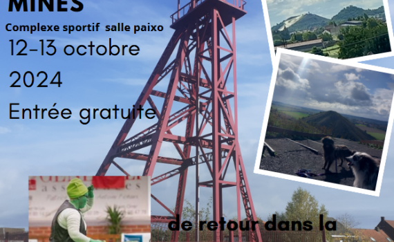 Championnat et grand prix de france de dog dancing - 12/13 octobre 2024 - Auchy les mines - Complexe sportif - salle paixo - Entrée gratuite