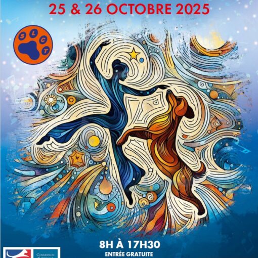 Championnat de France & GPF de Dog Dancing de la SCC - 25 & 26 octobre 2025 - 8h à 17h30 - Entrée gratuite (interdits aux chiens extérieurs à la compétition) - Maison Familiale de Torcy - 28 avenue Jean Moulin - 77200 Torcy