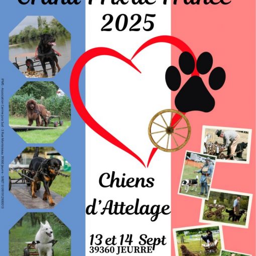 affiche championnat de france et grand prix de france chiens d'attelage 2025 - 13 et 14 septembre - stade des buis, rue du platane, 39360 jeurre - 46°22'02.7''N 5°43'01.9E