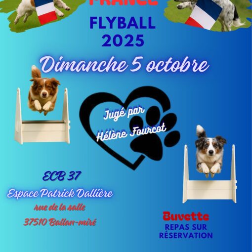GPF Flyball 2025 - Dimanche 5 octobre - Jugé par Hélène Fourcot - ECB 37 espace Patrick Dallière - Rue de la Salle - 37510 Ballan-miré - Buvette, repas sur réservation - Entrée gratuite