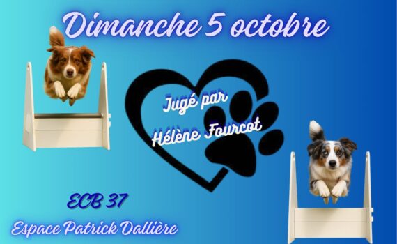 GPF Flyball 2025 - Dimanche 5 octobre - Jugé par Hélène Fourcot - ECB 37 espace Patrick Dallière - Rue de la Salle - 37510 Ballan-miré - Buvette, repas sur réservation - Entrée gratuite