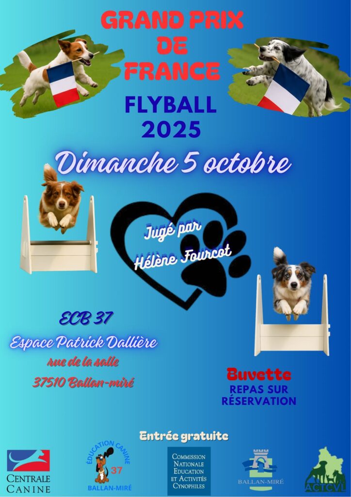 GPF Flyball 2025 - Dimanche 5 octobre - Jugé par Hélène Fourcot - ECB 37 espace Patrick Dallière - Rue de la Salle - 37510 Ballan-miré - Buvette, repas sur réservation - Entrée gratuite
