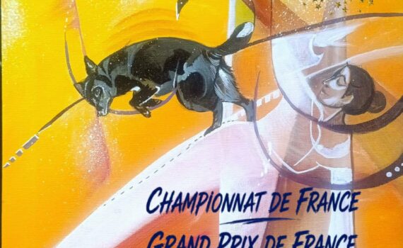 24 et 25 octobre 2026 de 8h à 18h - Championnat de France et Grand prix de France dog dancing / obérythmée de la SCC - Entrée gratuite - COSEC Sanvignes les mines