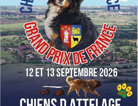 Affiche Championnat de France et Grand prix de France chiens d'attelage - 12 et 13 septembre 2026 - organisés par le centre d'éducation canine de bains - Lieu : 395 rue du four - 43370 - coordonnées GPS : 44.996536, 3.783894
