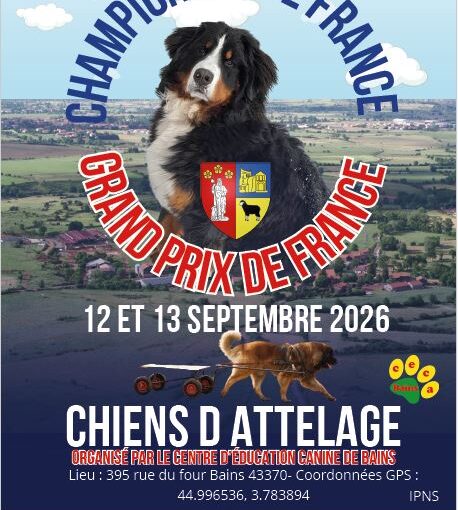 Affiche Championnat de France et Grand prix de France chiens d'attelage - 12 et 13 septembre 2026 - organisés par le centre d'éducation canine de bains - Lieu : 395 rue du four - 43370 - coordonnées GPS : 44.996536, 3.783894