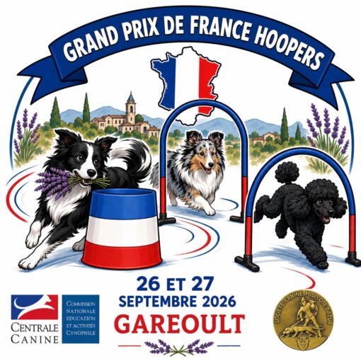 Affiche du Grand Prix de France Hoopers - 26 et 27 septembre 2026