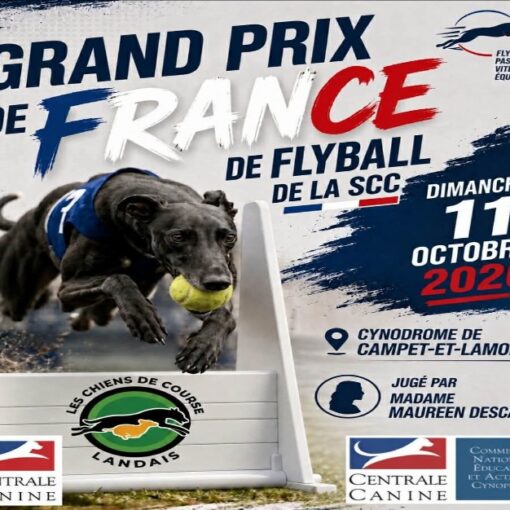 affiche grand prix de france de flyball : dimanche 11 octobre 2026 au cynodrome de campet et lamolère, jugé par madame maureen descamp
