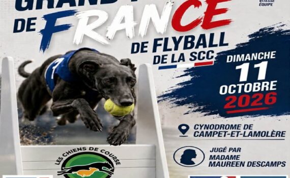 affiche grand prix de france de flyball : dimanche 11 octobre 2026 au cynodrome de campet et lamolère, jugé par madame maureen descamp